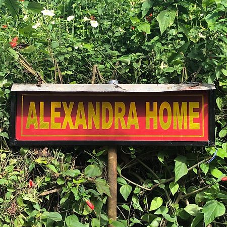 Alexandra Home For Foreign Tourists Only Гампола Экстерьер фото